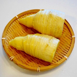 春の贈り物！タケノコの茹で方（アク抜き）